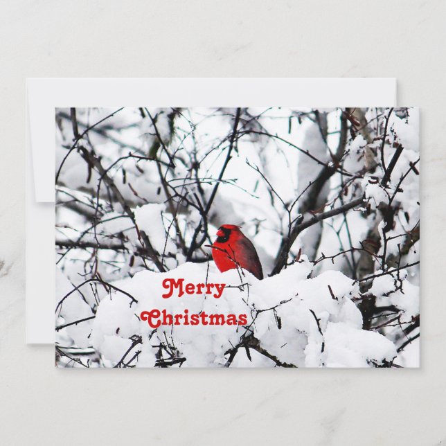 Pretty Red Cardinal Snow Photo Christmas Flat Holiday Card (Front)