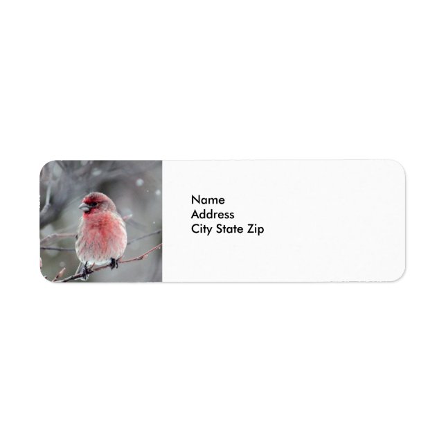 Pretty Red Finch Photo Return Address Label (Front)