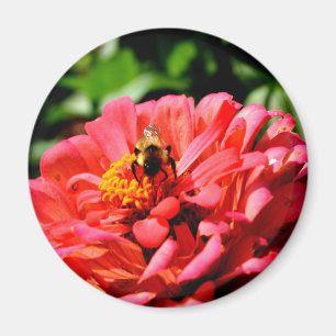 Pretty red floral and honeybee magnet
