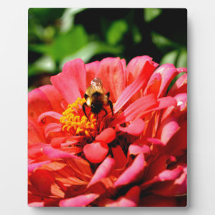 Pretty red floral and honeybee plaque