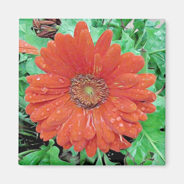 Pretty Red Flower with Raindrops Magnet (Front)