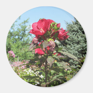 Pretty Red Flowers of the Midwest Photo Magnet