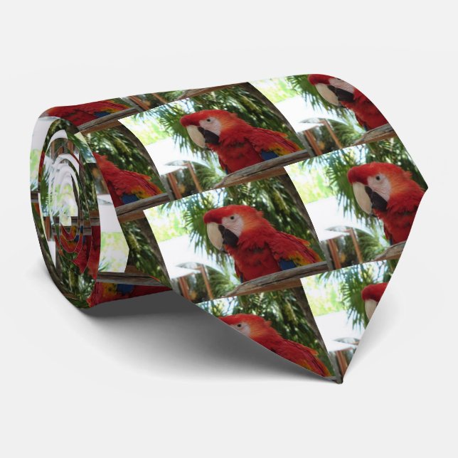 Pretty Red Parrot Tie (Rolled)