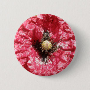 Pretty Red Poppy Flower Macro Button