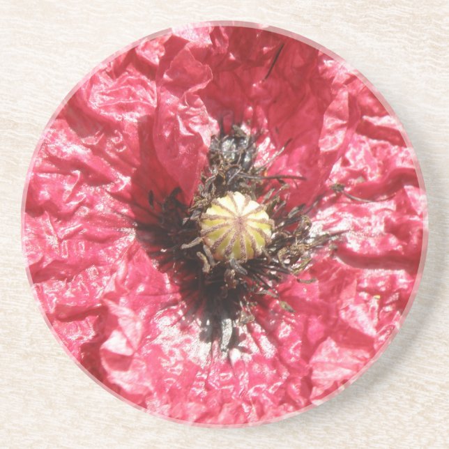 Pretty Red Poppy Flower Macro Coasters (Front)