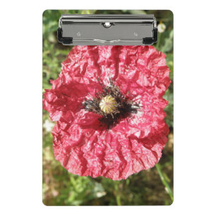 Pretty Red Poppy Flower Macro Mini Clipboard