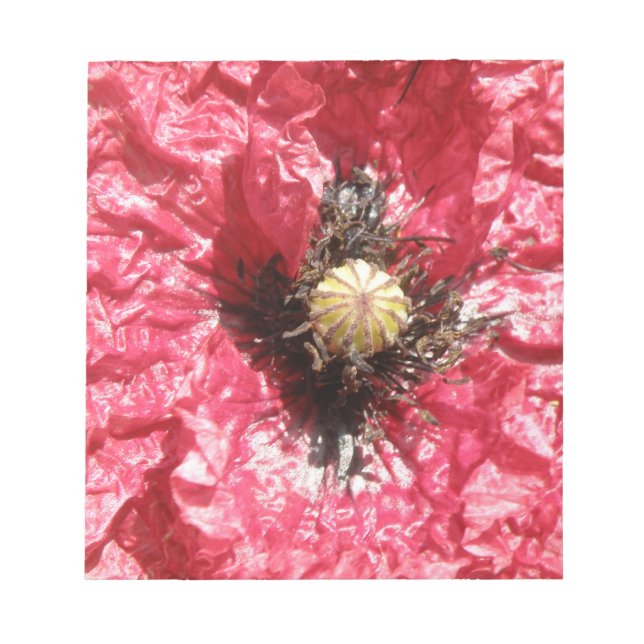 Pretty Red Poppy Flower Macro Notepad (Front)