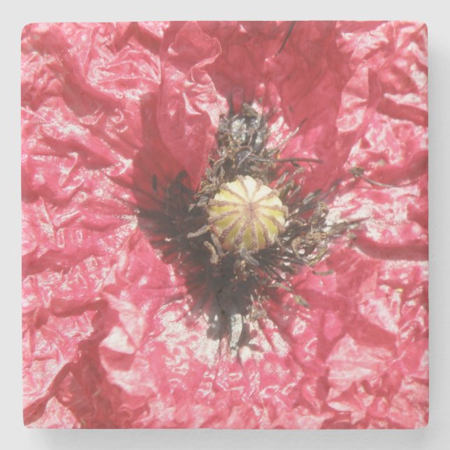 Pretty Red Poppy Flower Macro Stone Coaster (Front)