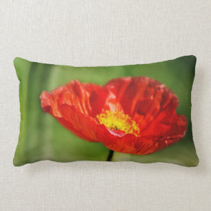 Pretty red poppy flowers lumbar cushion