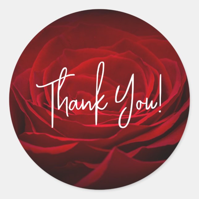 Pretty Red Rose Thank You Classic Round Sticker (Front)
