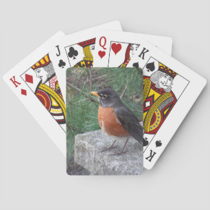 Pretty Robin In Garden Playing Cards