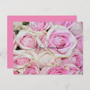 Pretty Romantic Pink White Roses Postcard