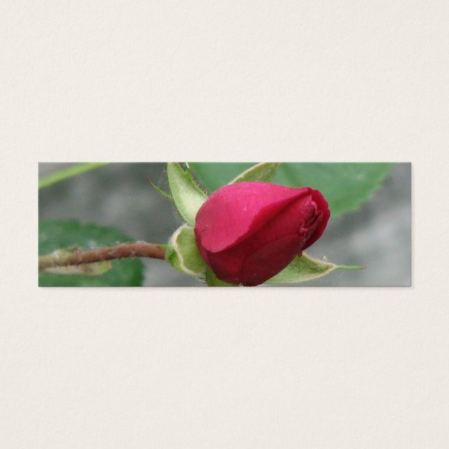 Pretty Rose Bookmark (Front)
