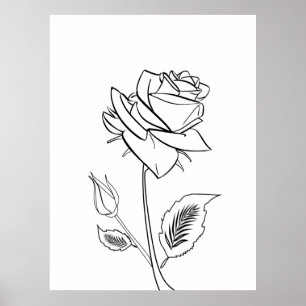 Pretty Rose Flower Drawing  Poster