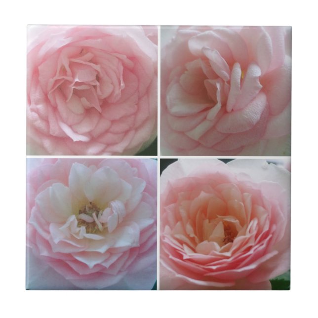 Pretty Roses Ceramic Tile (Front)
