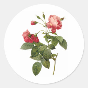 Pretty Roses Classic Round Sticker