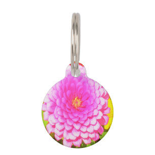 Pretty Round Pink Zinnia in the Summer Garden Pet Tag