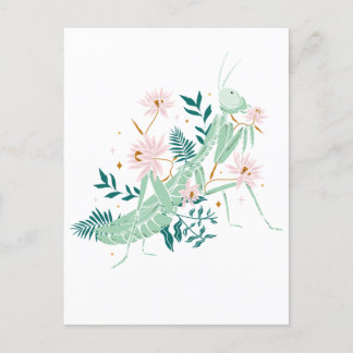 PRETTY SAUTERELLE POSTCARD