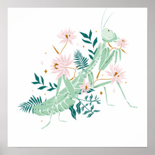 PRETTY SAUTERELLE POSTER