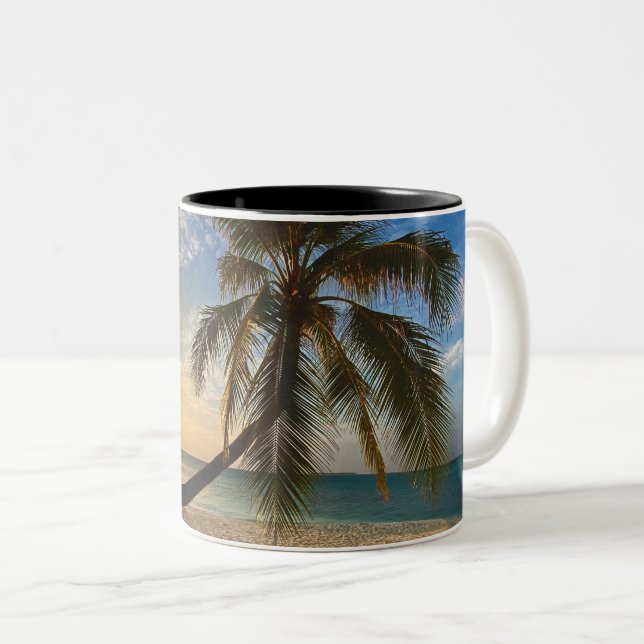 Pretty Sea Animals Two-Tone Coffee Mug (Front Right)