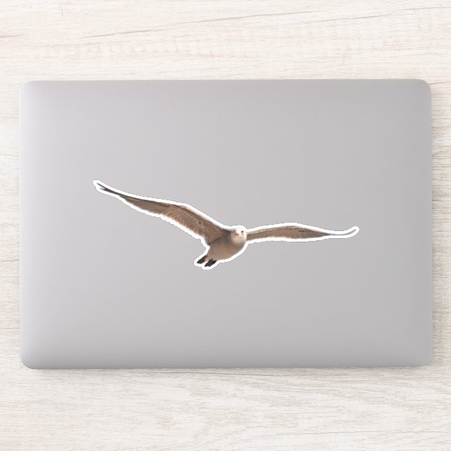 Pretty Sea Bird Gull in Flight Cut Out Sticker (Computer)