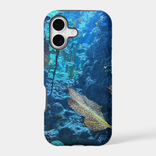 Pretty Sea Life