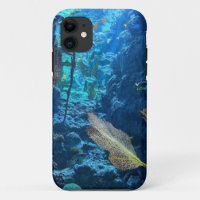 Pretty Sea Life