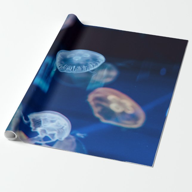 Pretty Sea Life Wrapping Paper (Unrolled)