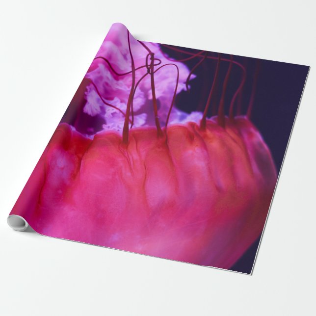 Pretty Seascape Wrapping Paper (Unrolled)