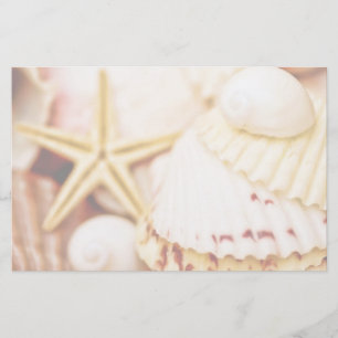 Pretty Seashells Stationery