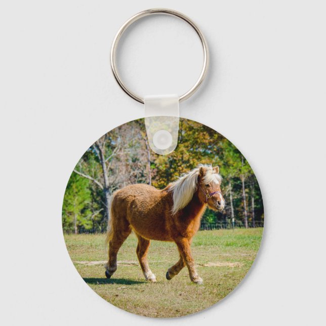 Pretty Shetland Pony Key Ring (Front)