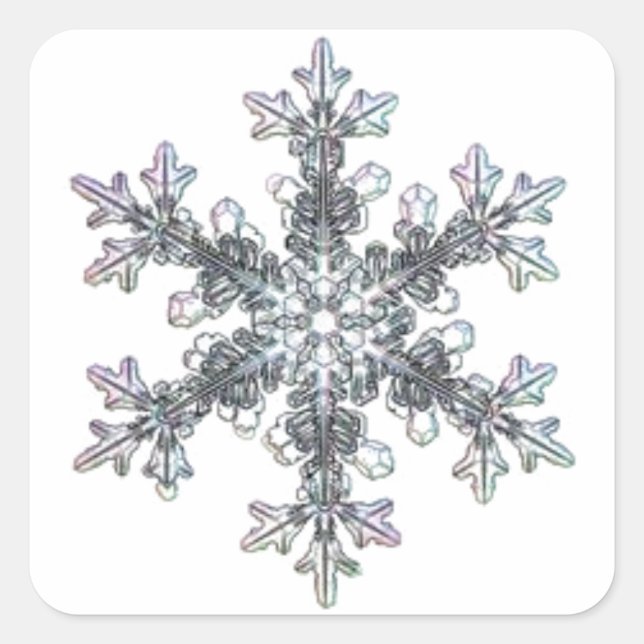 Pretty single Snow flake Square Sticker (Front)
