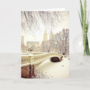 Pretty Snow - New York Holiday Card