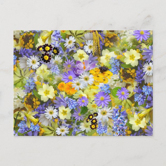 Pretty Spring Flowers Postcard (Front)