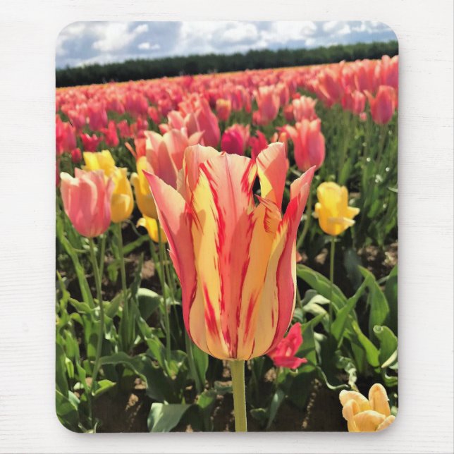 Pretty Spring Tulip, Oregon Mouse Pad (Front)