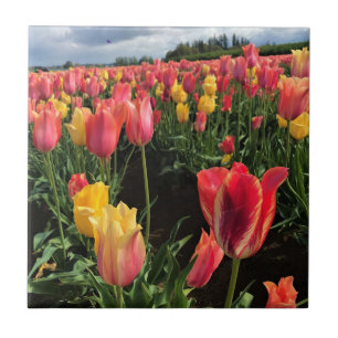 Pretty Spring Tulips in a Field, Oregon Ceramic Tile
