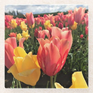 Pretty Spring Tulips in a Field, Oregon Glass Coaster