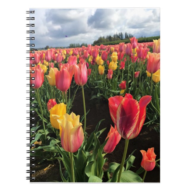Pretty Spring Tulips in a Field, Oregon Notebook (Front)