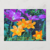 Pretty Spring Tulips Orange Purple Postcard