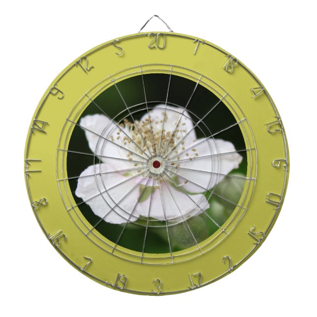 Pretty spring white  raspberry flower photography dartboard (Front)