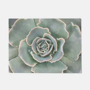 Pretty Succulent Doormat