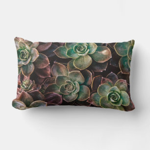 Pretty #Succulent Plants Lumbar Cushion