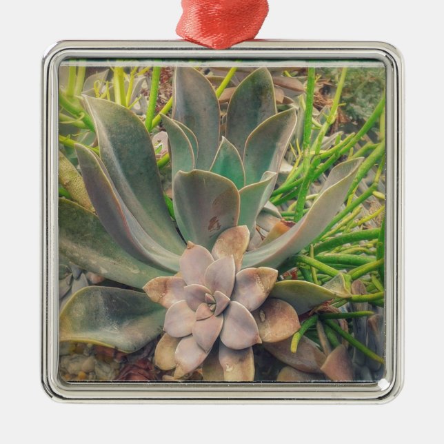 Pretty Succulent Plants Metal Ornament (Front)