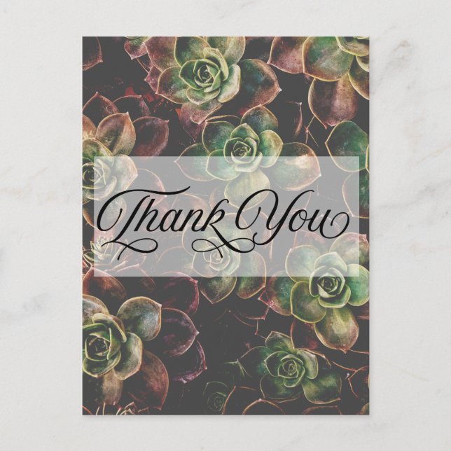 Pretty #Succulent Plants Thank You Postcard (Front)