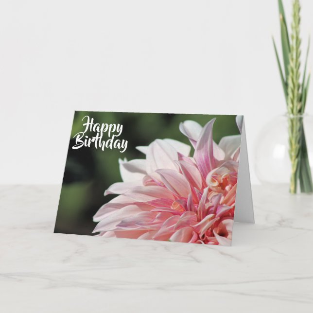Pretty Summer Dahlia Greeting Card (Front)