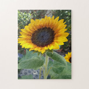 Pretty Sunflower Jigsaw Puzzle