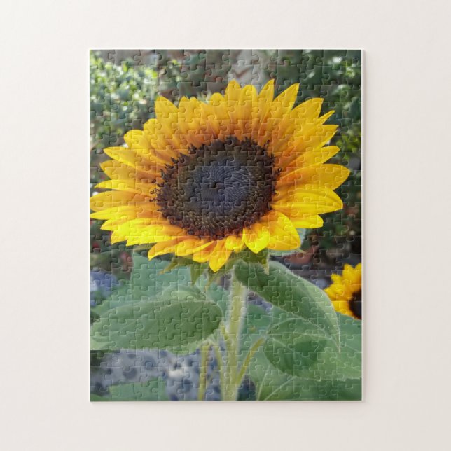 Pretty Sunflower Jigsaw Puzzle (Vertical)