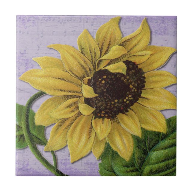 Pretty Sunflower On Sheet Music Ceramic Tile (Front)