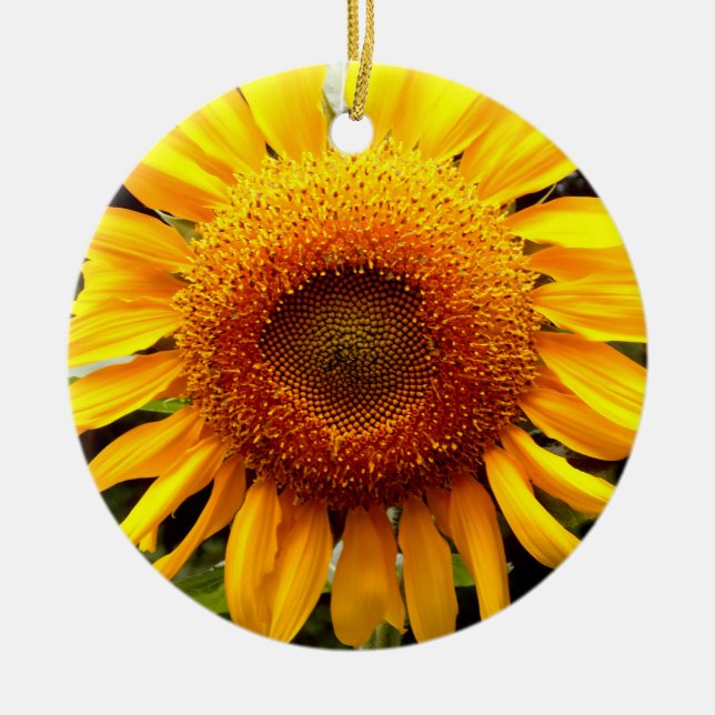 Pretty Sunflower photo Ceramic Tree Decoration (Front)