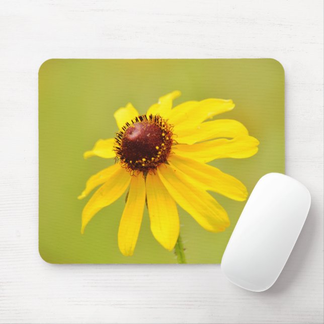 Pretty Texas Wildflower Yellow Coneflower Mouse Pad (With Mouse)